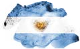 Vinos Argentinos